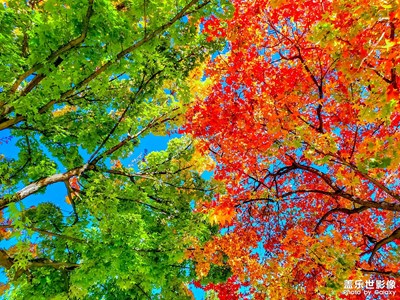 秋天的色彩