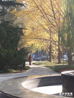 【色彩】多彩的秋