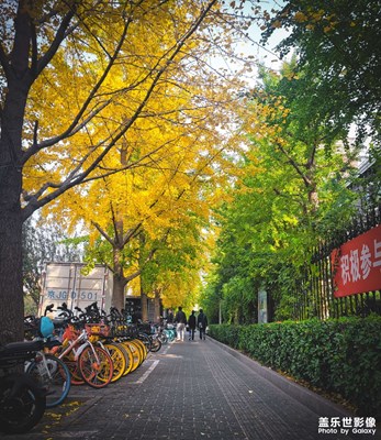 【色彩】金秋黃