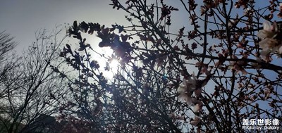 時(shí)光荏苒，歲月如梭。