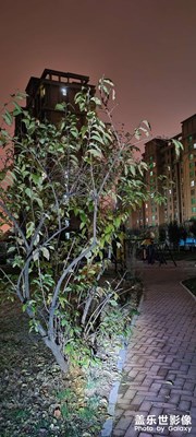 同樣的地方來張夜景
