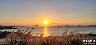 【精彩定格】近期隨拍