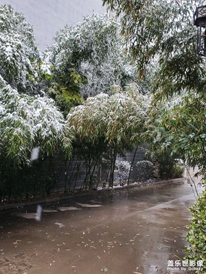 2020年第一場(chǎng)雪