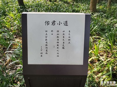 【精彩定格】+佑君烈士館