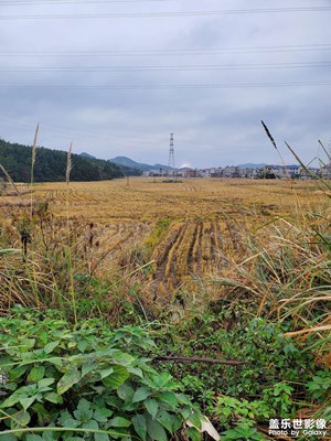 【心動(dòng)的瞬間】鄉(xiāng)村田野