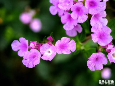 【心動(dòng)的瞬間】＋絢麗一刻