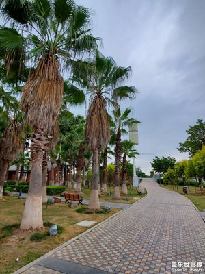 我喜歡孤寂，落寞的時(shí)光！