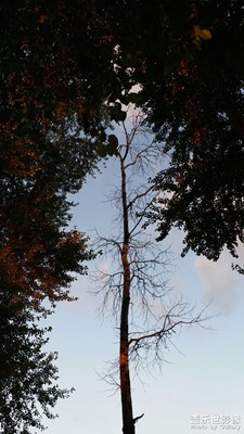 【與美好相遇】+一道風(fēng)景