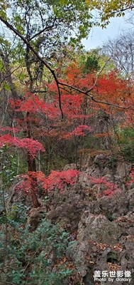 【與美好相遇】+古剎紅楓