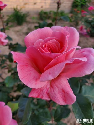 美好的事物總是一閃而過