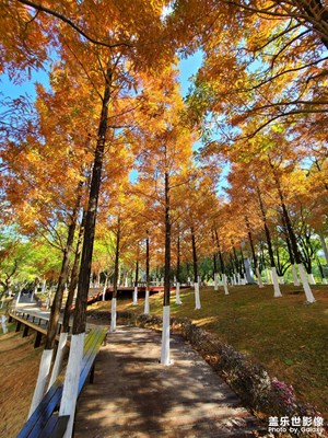 picturesque landscape