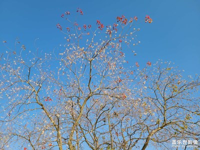 【與美好相遇】+暖冬隨手拍