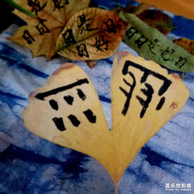 【與美好相遇】+生命的痕跡