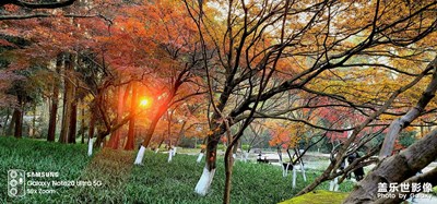 下午攝于太子灣