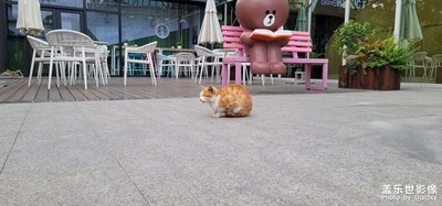 看看手機(jī)信息先