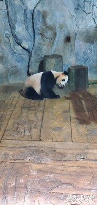 【難忘2020】+游玩最愉快