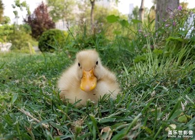 【幸福生活】+感動(dòng)時(shí)刻