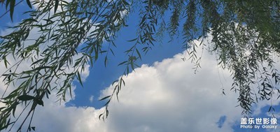 【難忘2020】“豫”見那個她