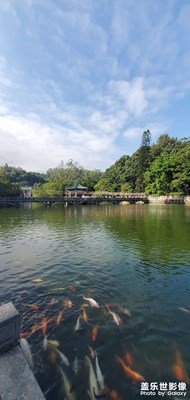 【幸福生活】+這一年的美好