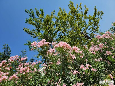 【幸福生活】+生活的美好瞬間