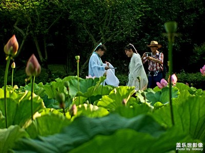 【難忘2020】+荷趣之旅如沐春風(fēng)