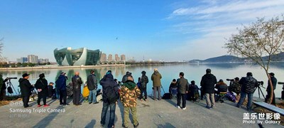 “打鳥”愛好者