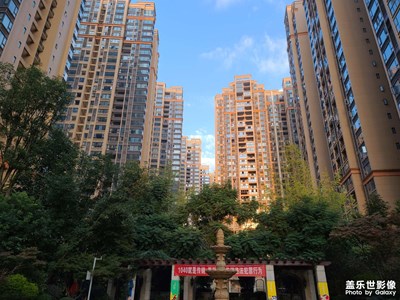 【捕捉精彩】+小區(qū)秋韻