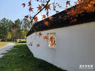 【難忘2020】冬日暖陽