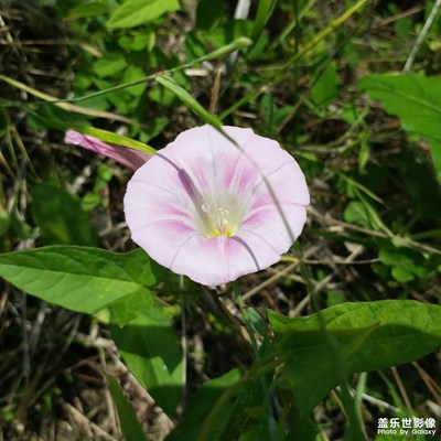 【捕捉精彩】+夏日隨拍