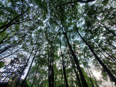 【時(shí)光】+春夏秋冬