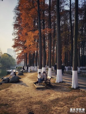 【難忘2020】冬日暖陽