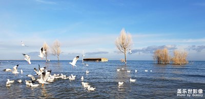 【難忘2020】愛在人間