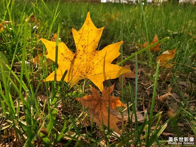 【時(shí)光】+深冬的顏色