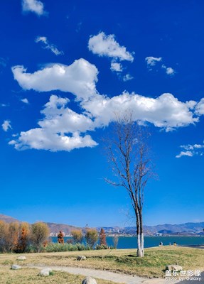 2020年最后一場旅行，帶上S10邂逅一場風(fēng)花雪月的秋