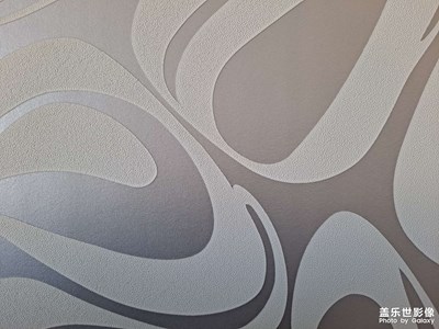 [Samsung Galaxy A51 5G] 線條