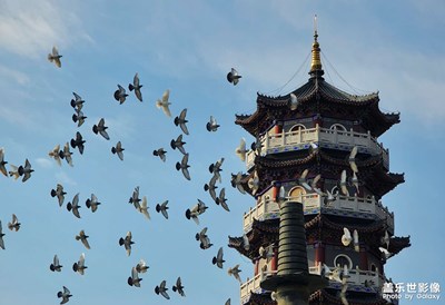 元旦假期歡樂(lè)多