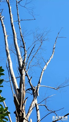 抓住假期的尾巴！