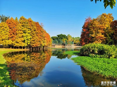 【你好2021】再見2020