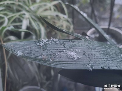 十余年光陰，你，還是來了……