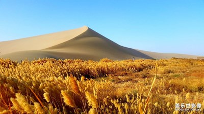不同時期的蓋樂世影像