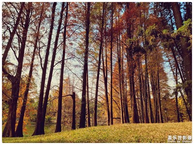 廣州華南植物園