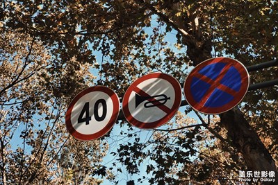 關(guān)于南京的第二次旅行（1/6）