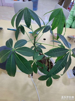 人生啊，一切隨緣