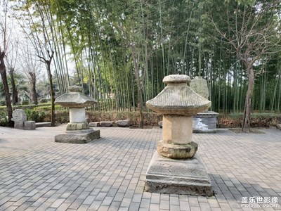 【隨拍的樂趣】+長(zhǎng)安游