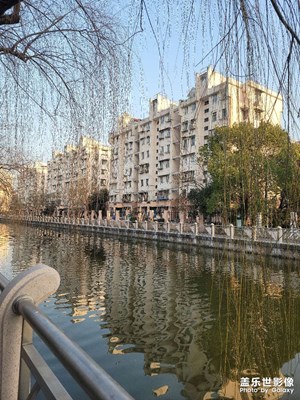 新手機(jī)用起來