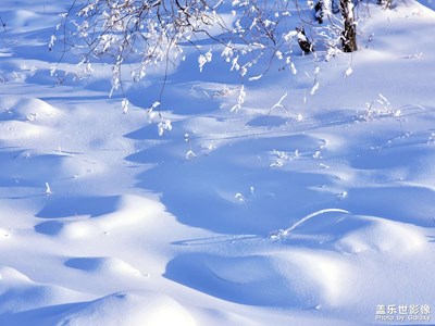 【隨拍的樂趣】夢(mèng)幻