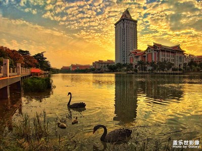 【奇妙之城】+島中之城廈門