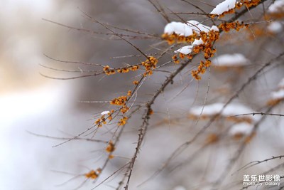 三星note20u 大光圈模式，能媲美大光定頂級(jí)專業(yè)鏡頭