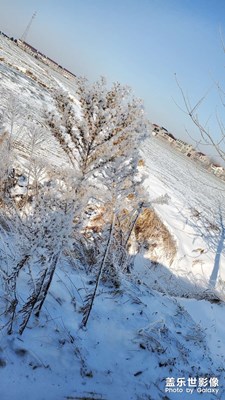 雪