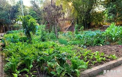 光影記午后陽光